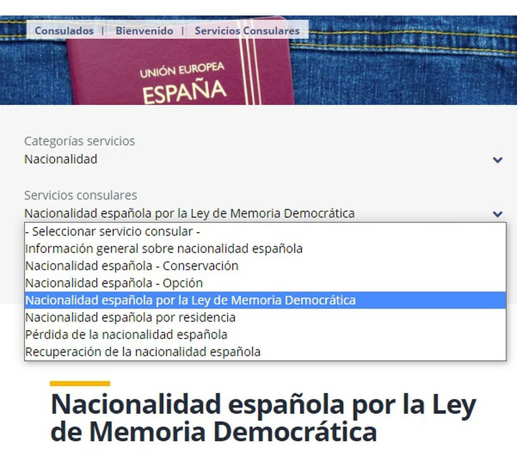 Cómo obtener turno desde este lunes para la ciudadanía española (Captura)