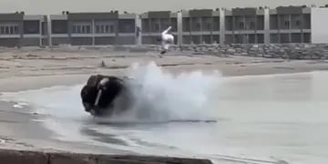 Se viralizó una escena digna de GTA: un conductor sale volando del auto tras un tremendo vuelco