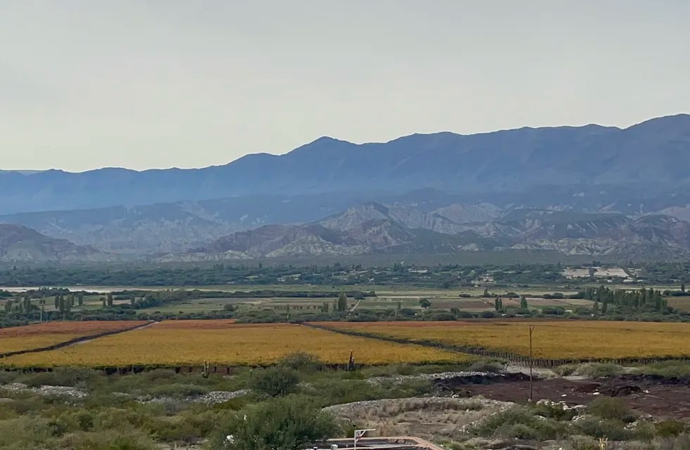 El viñedo de El Esteco, con la Sierra del Aconquija de fondo. - Foto: Los Andes