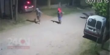 Perrito salvó a su dueña de un robo