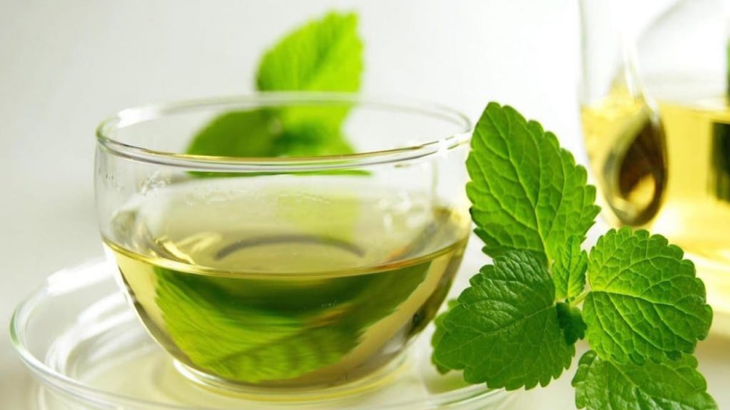 Te contamos los beneficios del té de menta y perejil para la salud