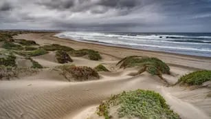 Dónde queda y cómo llegar a Ritoque, la tranquila playa de dunas y bosques a menos de una hora de Reñaca. Foto: Instagram @jpdelaharpe