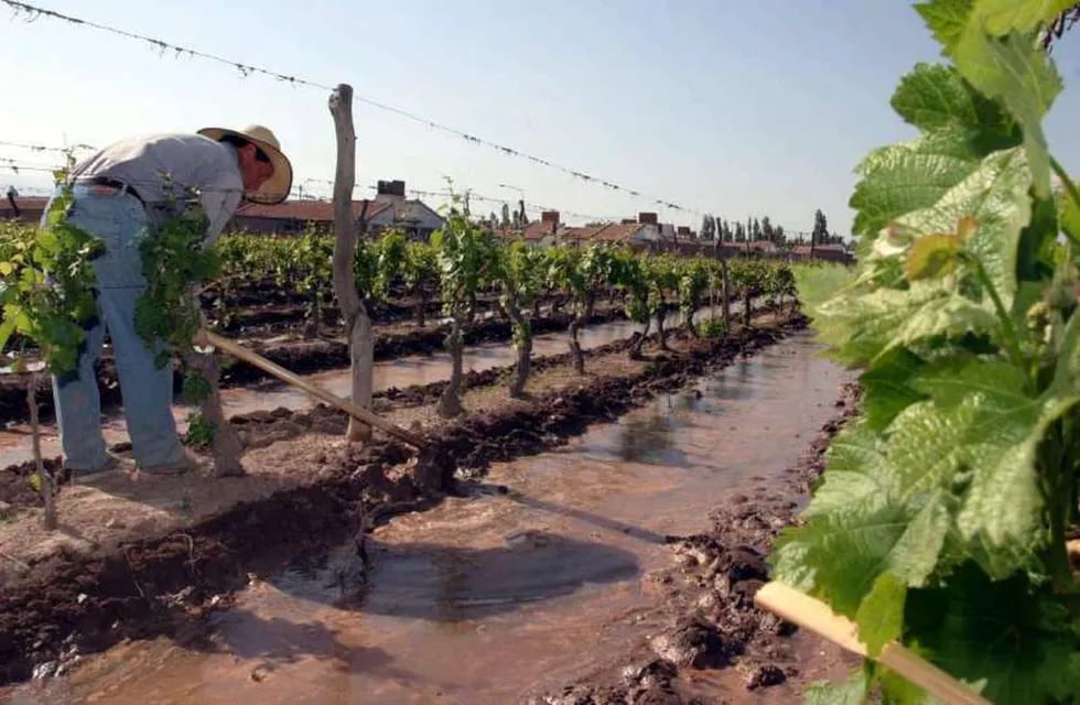 La medición del agua usada ha crecido en el arranque de 2023 en Mendoza. - Archivo / Los Andes