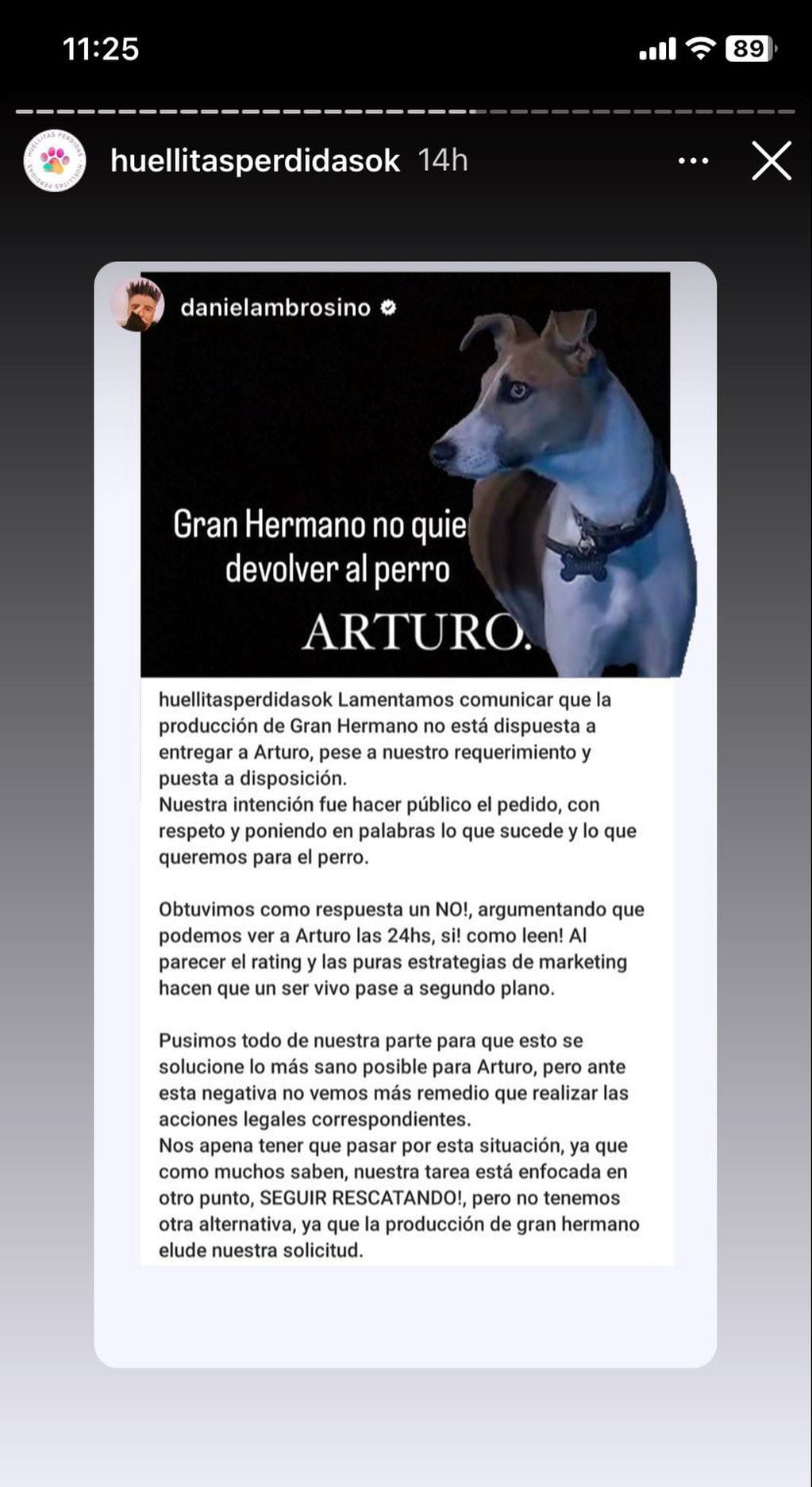Los famosos que se unieron a la causa y piden que Gran Hermano devuelva a Arturo, el perro. Captura de Instagram.