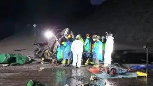Camionero argentino volcó y murió en los Caracoles de Chile
