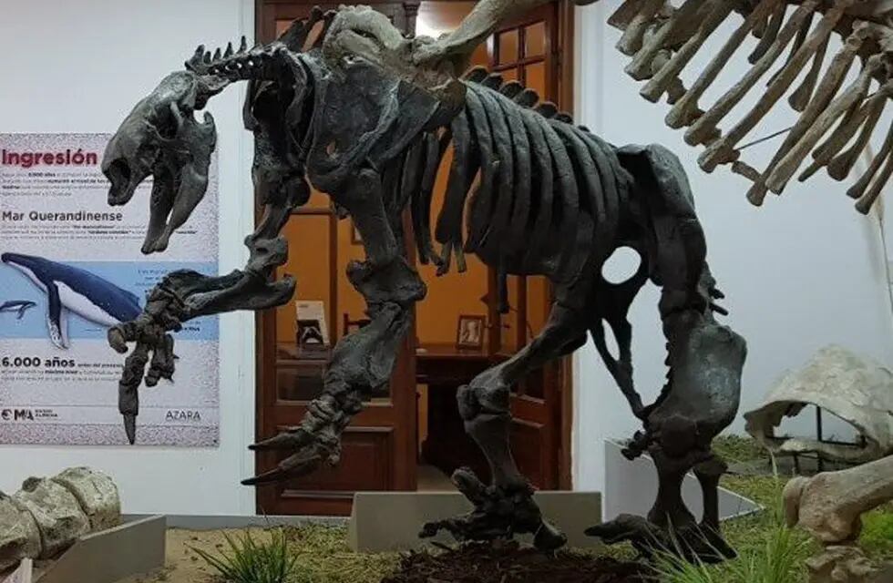 El Museo de Ciencias Naturales y Arqueología de Entre Ríos reabre sus puertas 