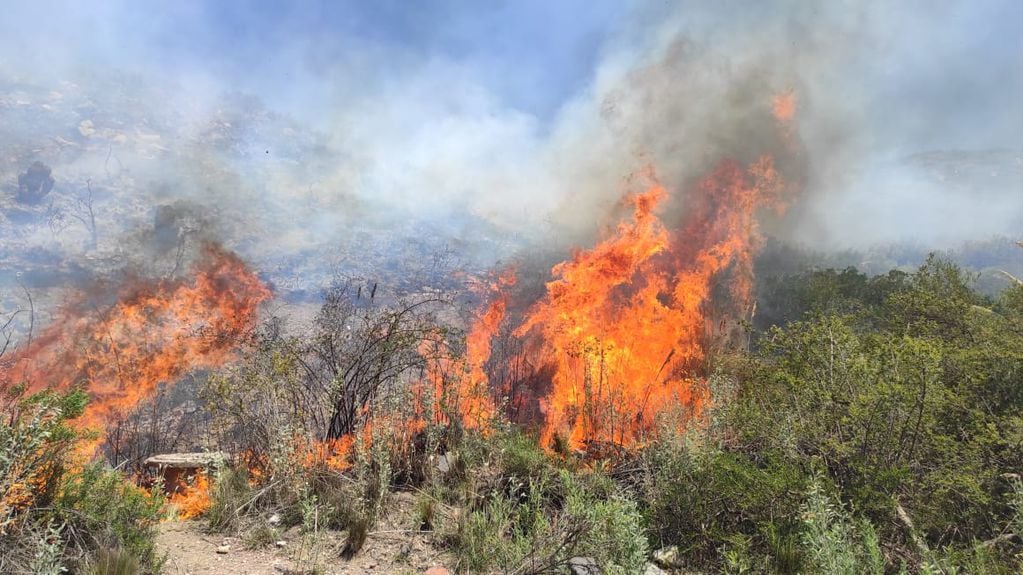 Incendios en el Salto. Vecinos y bomberos combaten las llamas en la localidad de montaña. 