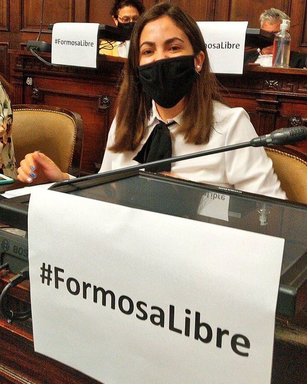 En miércoles de sesión, diputados por Cambia Mendoza pidieron que la situación de Formosa sea repudiada por todos los legisladores.