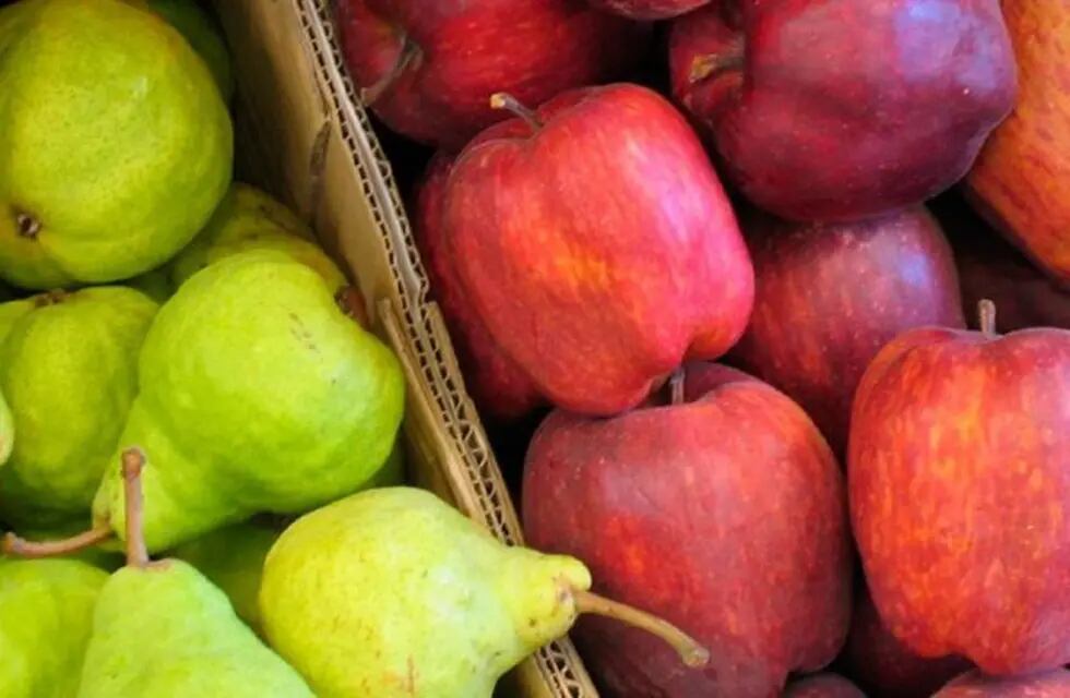 La producción de peras y manzanas se encuentra en situación de crisis por los altos costos y las dificultades climáticas.