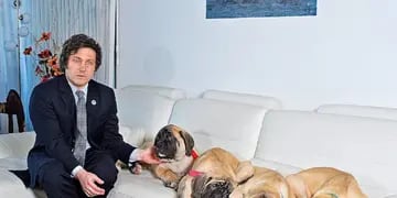 Javier Milei y sus cuatro perros en una foto de archivo