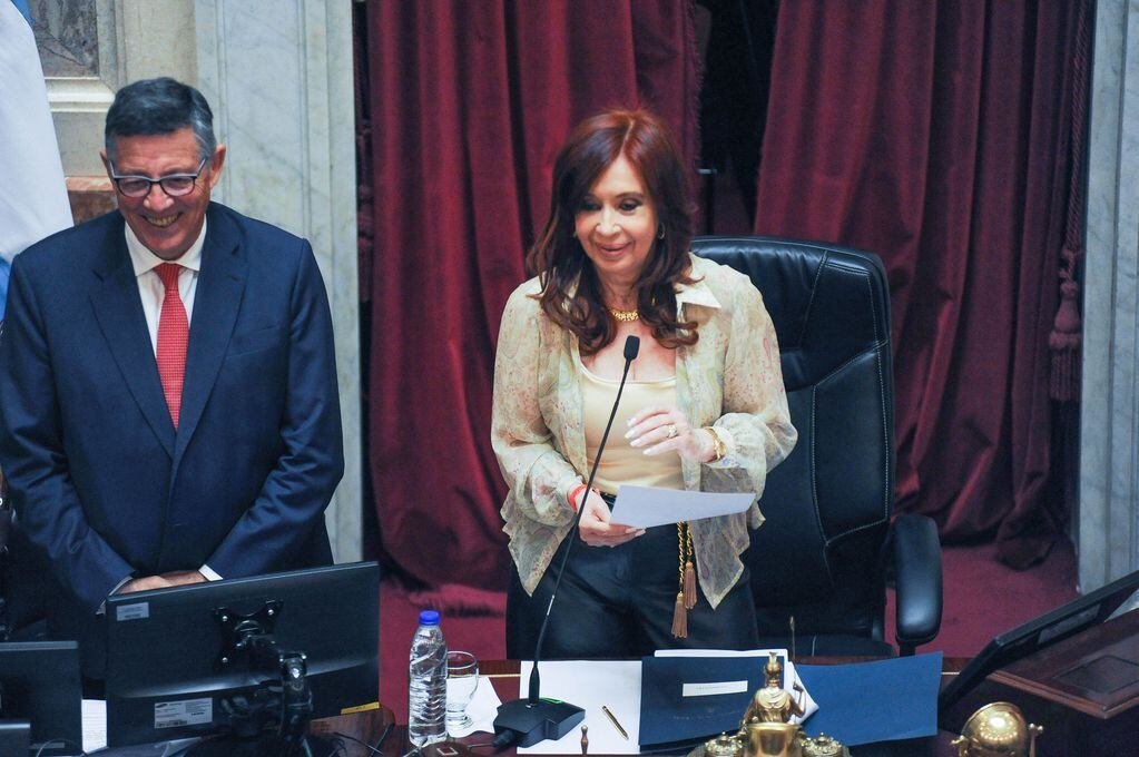 Cristina Kirchner durante la sesiòn en el Senado. Foto Federico Lopez Claro