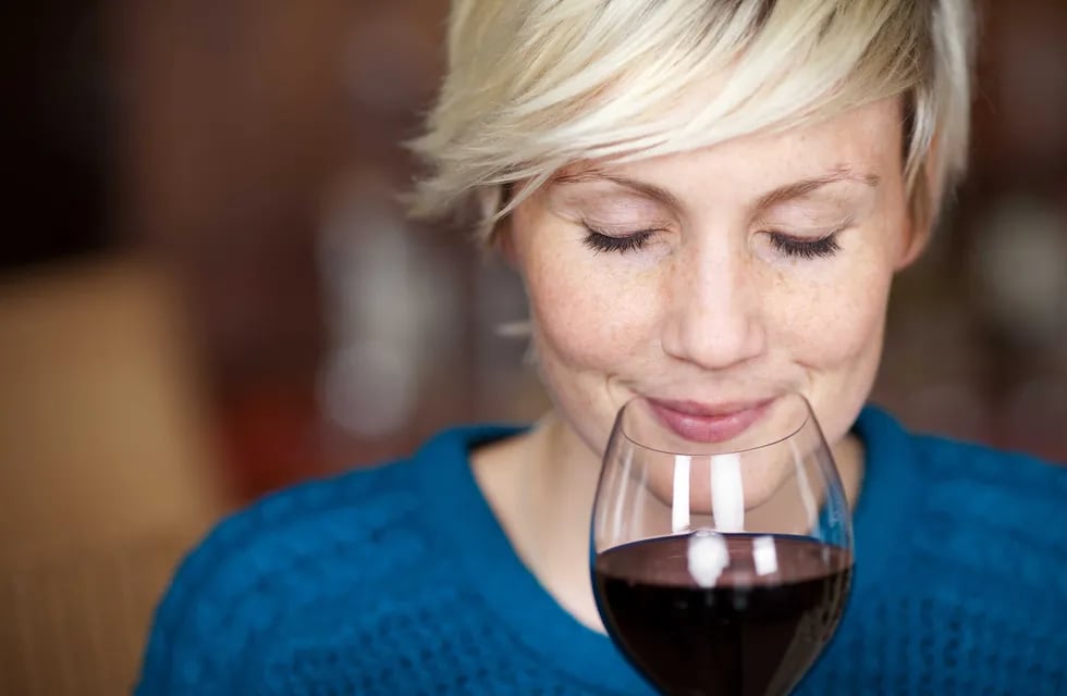 Los consumidores de vino se han convertido en ‘catadores conscientes’ y están ávidos de nuevas propuesta.