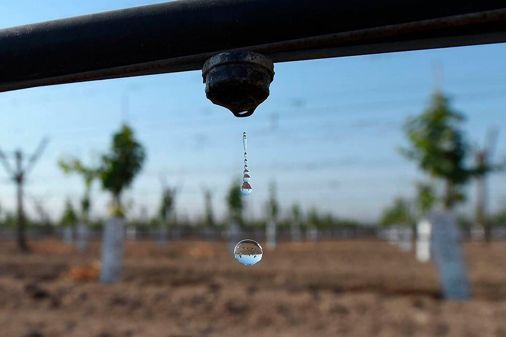 El ‪Centro de Tecnología del Conocimiento para‬ la sustentabilidad vitivinícola y agroindustrial dará énfasis al cuidado del recurso hídrico.