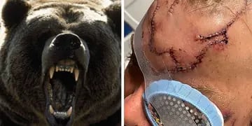 El brutal ataque de un oso a un hombre en Alaska