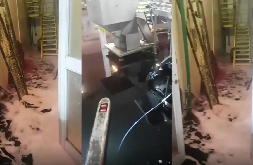 Video: tremendo derrame de 60.000 litros de vino en una conocida bodega de Mendoza