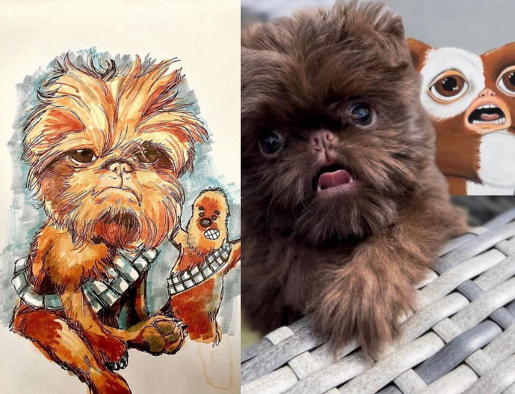 Usuarios han encontrado otros divertidos parecidos a Proshka, como el querido personaje de Star Wars y mejor amigo de Han Solo, Chewbacca. Foto: Instagram - griffy.girl