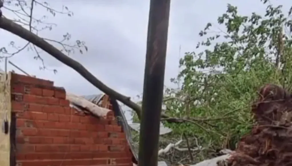 La vivienda afectada por la caída de un árbol que se cobró la vida de una joven de 19 años - Foto Continental Corrientes
