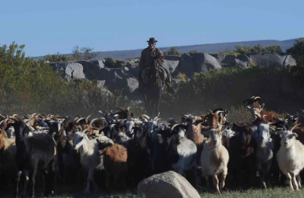 Mapuches de Mendoza: quiénes son, cómo viven y cuáles son sus reclamos 