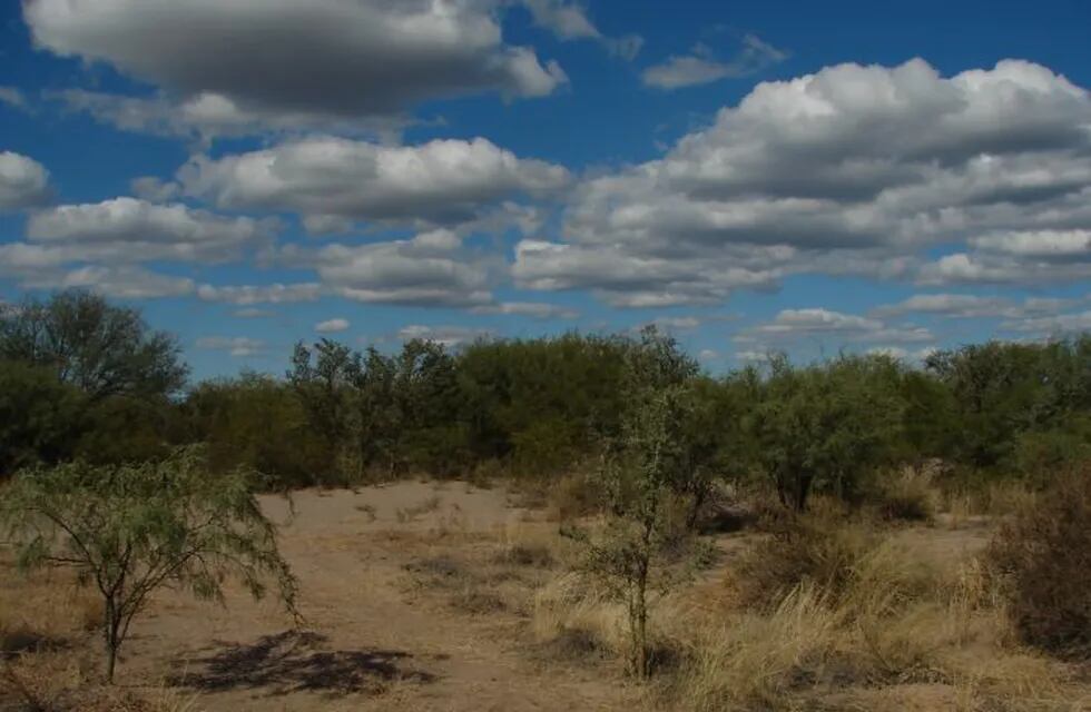 La Reserva Natural Biosfera Ñacuñán, en Santa Rosa, es la única reserva de biosfera declarada en Mendoza. El área natural protegida ofrece visitas por el día, acampes y recorrido de senderos, con “un bosque en el desierto”.