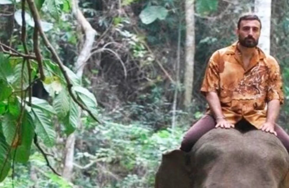 Santiago Puy, hijo de un ministro riojano, paseando en elefante por Tailandia.
Foto: X / @germanlarioja