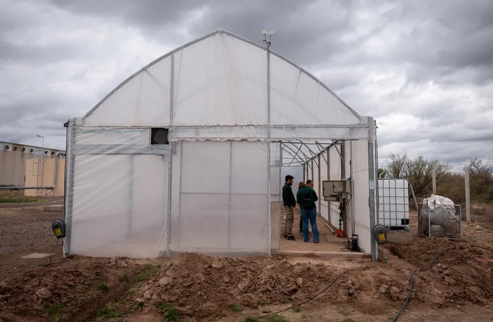 Iscamen
Laboratorio e invernadero para la producción e investigación de cannabis en la provincia de Mendoza ubicado en la Bioplanta de Iscamen en Santa Rosa 

Foto: Ignacio Blanco / Los Andes 