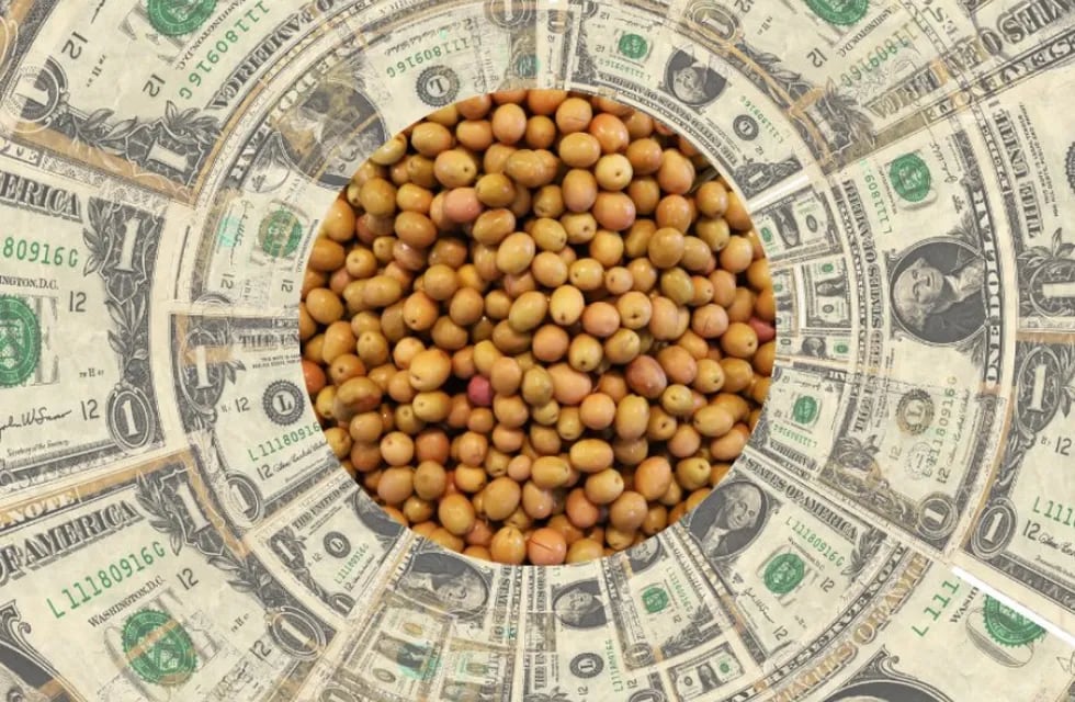 Dólar soja: un subsidio de 1.350 millones de dólares para el sector más productivo de Argentina (Imagen ilustrativa)