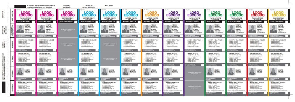 Modelo de boleta única para elecciones provinciales PASO