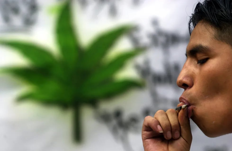 InfoDatos - Aumentó 150% el consumo de marihuana en los últimos 7 años