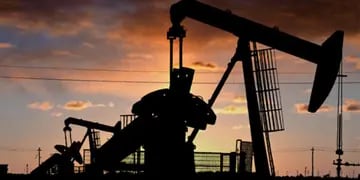 YPF. Buzzi le critica a la petrolera "la falta de inversión para incrementar su producción" (www.ypf.com).