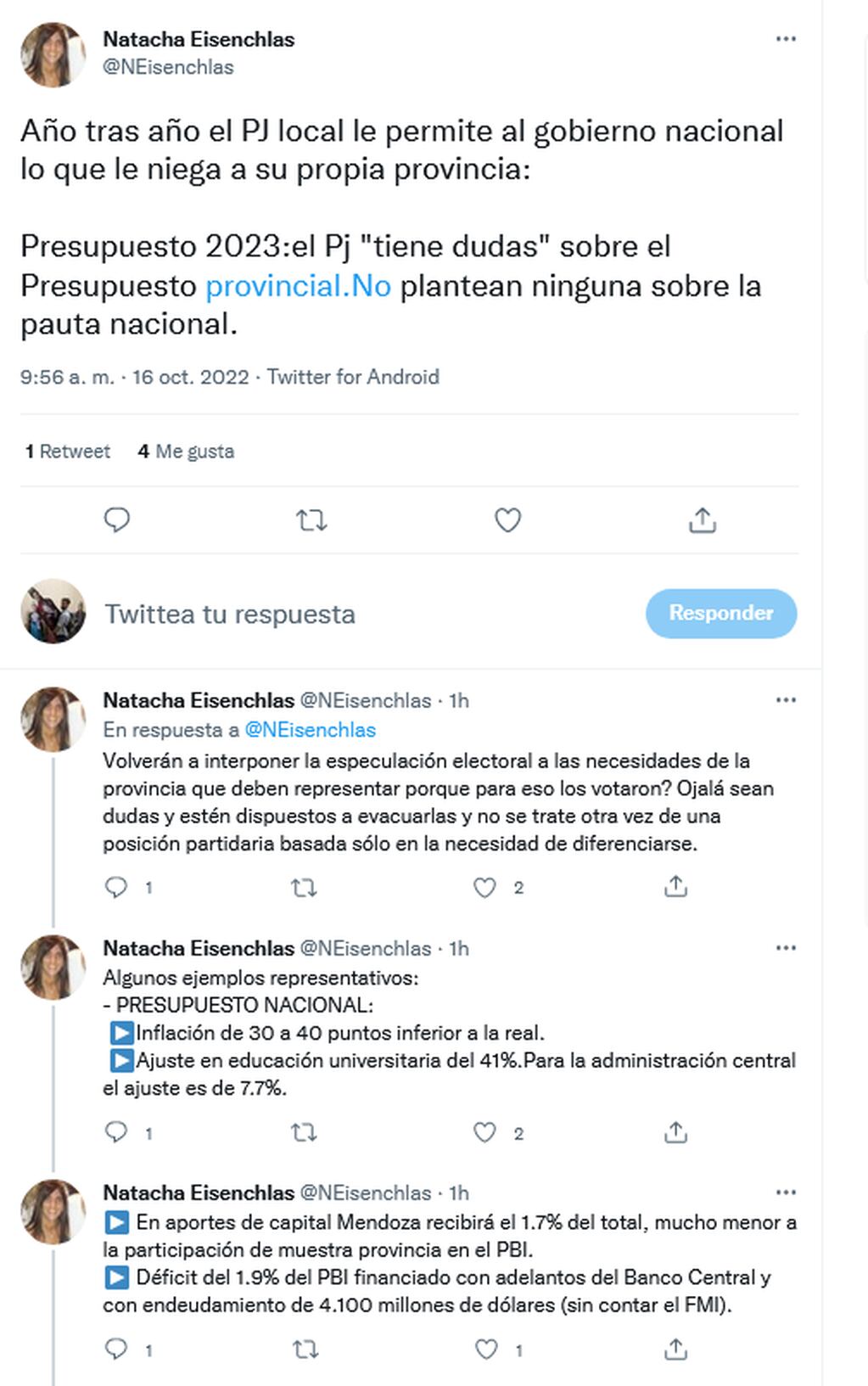 La senadora Natacha Eisenchlas criticó al peronismo por los cuestionamientos sobre el Presupuesto 2023. Twitter.