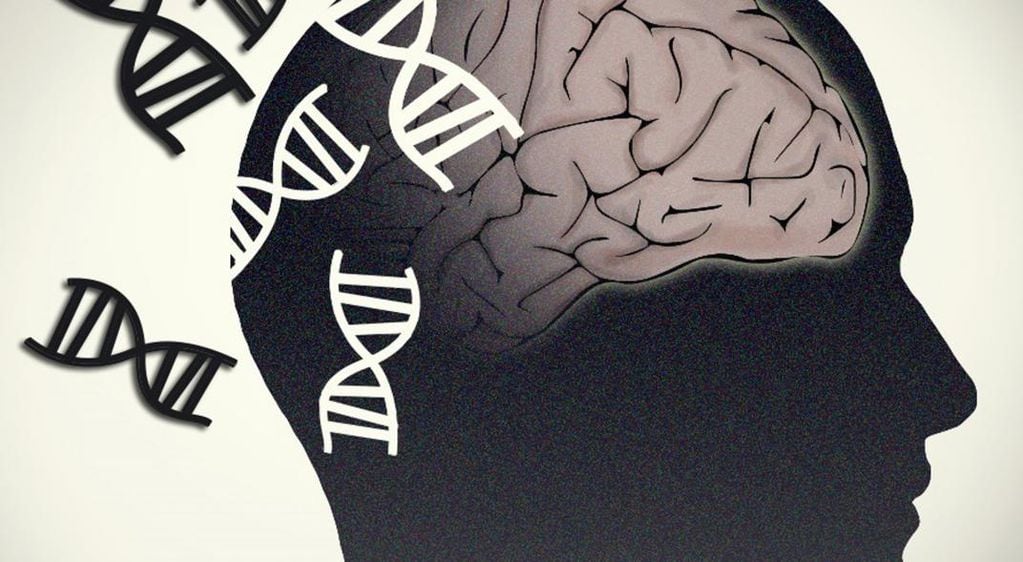 Parkinson. Cerebro y genética. (Flicker/National Human Genome RE/Europa Press/DPA)