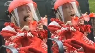 Video: La ternura y el ingenio de una niña que se disfrazó de flor para acercarse a un colibrí