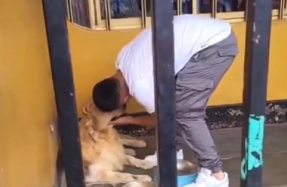 Piero Quispe se despide de su perro antes de irse a México - Captura de video