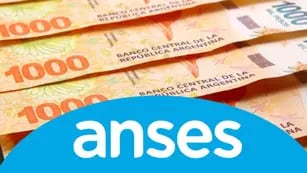 Anses: quiénes cobran hasta $18.000 extra en noviembre de 2022