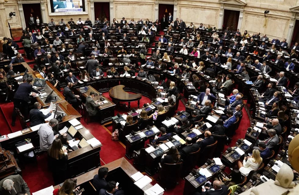 Debate de la Ley Bases en la Cámara de Diputados (Foto: Federico López Claro)