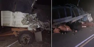 Tragedia en San Rafael con dos camioneros y caballos