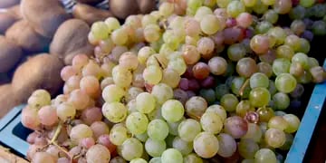 Los dos beneficios claves, que aporta un tipo de uva, a la salud