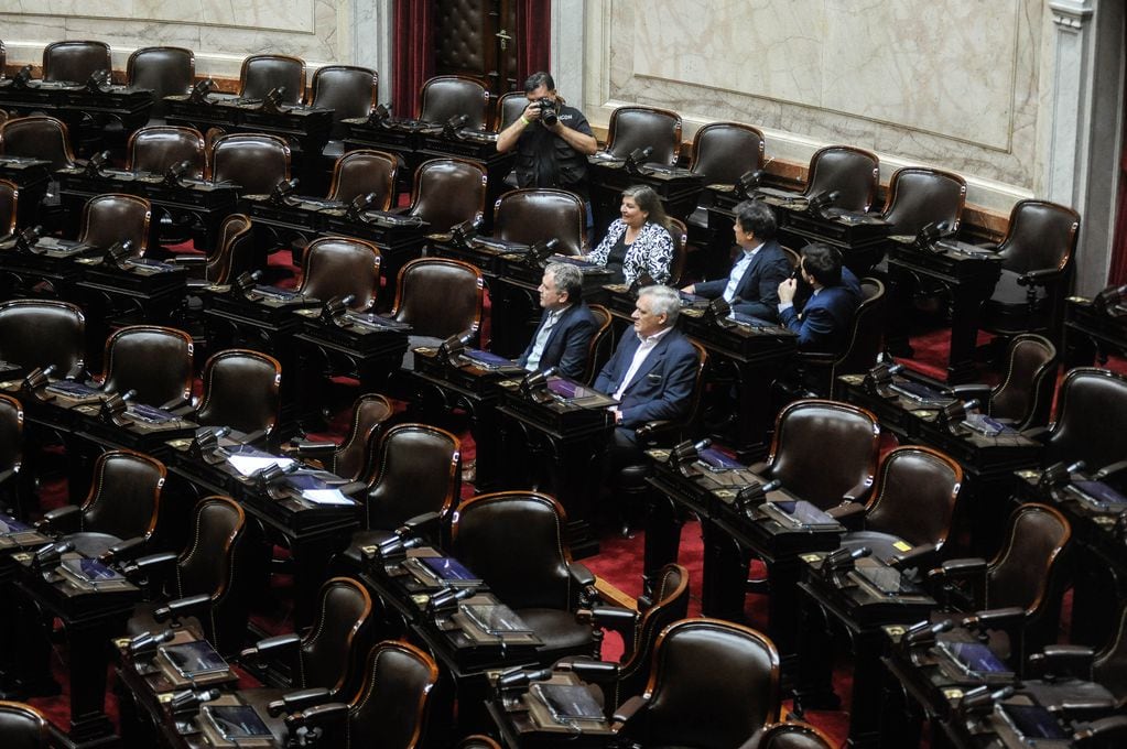 Sesión en la Cámara de Diputados caída por falta de Quorum. Foto: Federico Lopez Claro