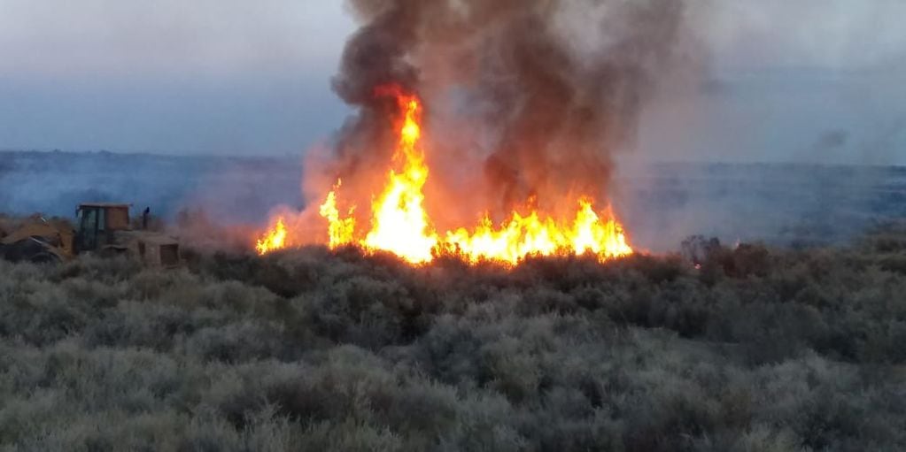 Cerca de 70 hectáreas se quemaron a la vera de la ruta 52.