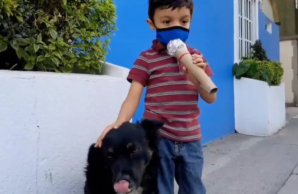 Santiago Fabila eligió como tema y protagonistas para un reportaje a los perros callejeros. Foto: Twitter.