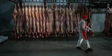Con restricciones, el Gobierno reabrió las exportaciones de carne y Alberto Fernández le prometió al campo mayor apertura si bajan los precios