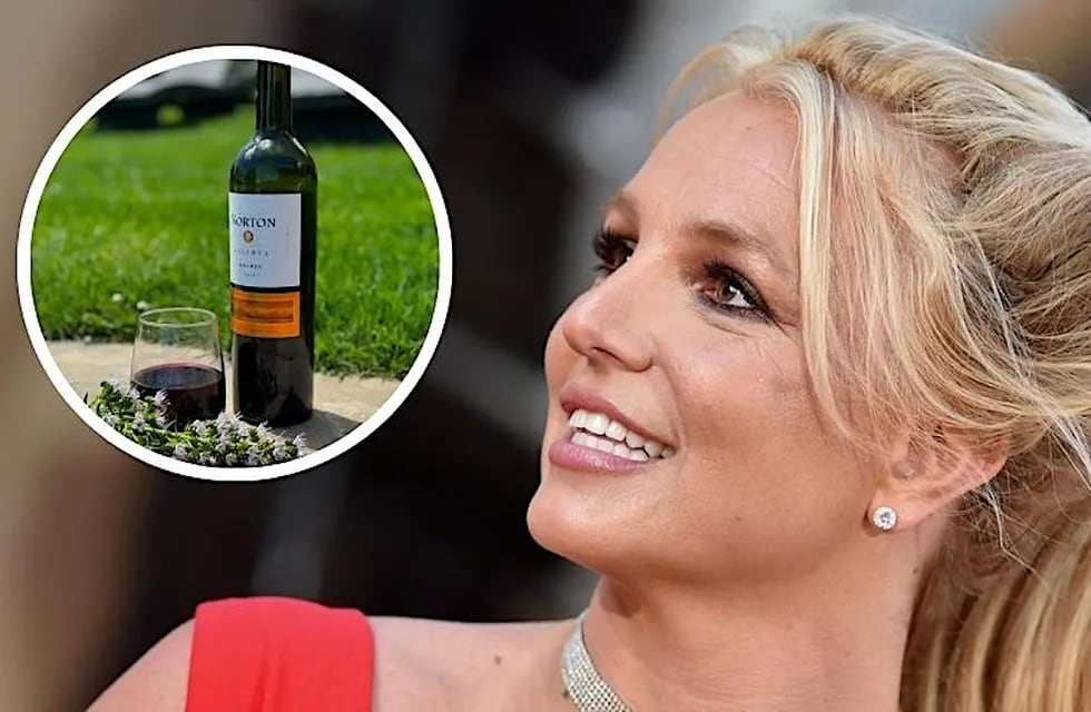 Britney Spears elogió a un Malbec mendocino en sus redes