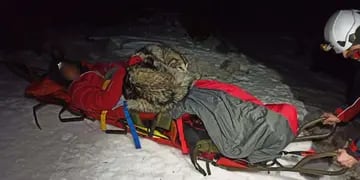 El animal, de raza Malamute de Alaska, se recostó sobre el cuerpo del joven para darle calor luego de que ambos cayeran por un barranco.