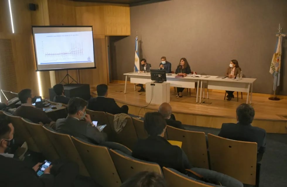 Nadal brinda su informe en la Legislatura. Ignacio Blanco / Los Andes