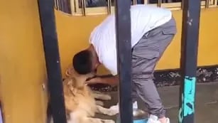 El tierno video de un futbolista que se despidió de su perro