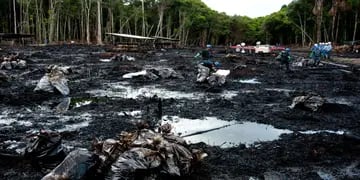 Petróleo en el Amazonas
