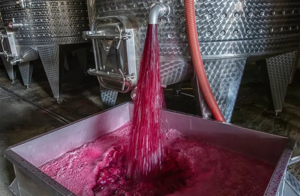 La exportación de vino a granel mostró una recuperación por segundo mes consecutivo. - Foto: Los Andes