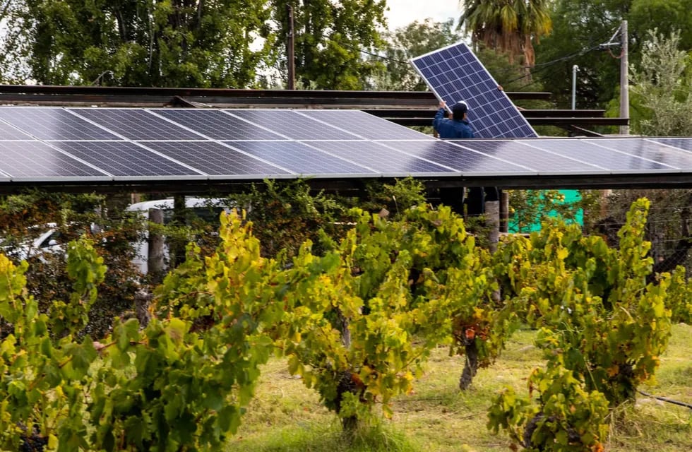 Ya más de 30 bodegas de Mendoza cuentan con paneles solares para generar energía. - Gentileza Clúster de Energía Renovables de Mendoza