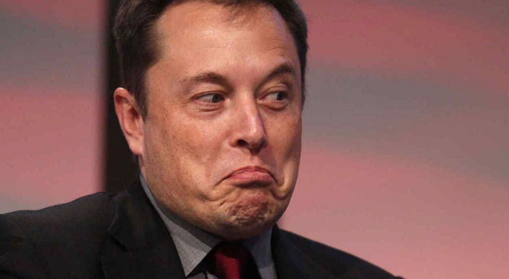  Elon Musk se hizo un 599% más rico.