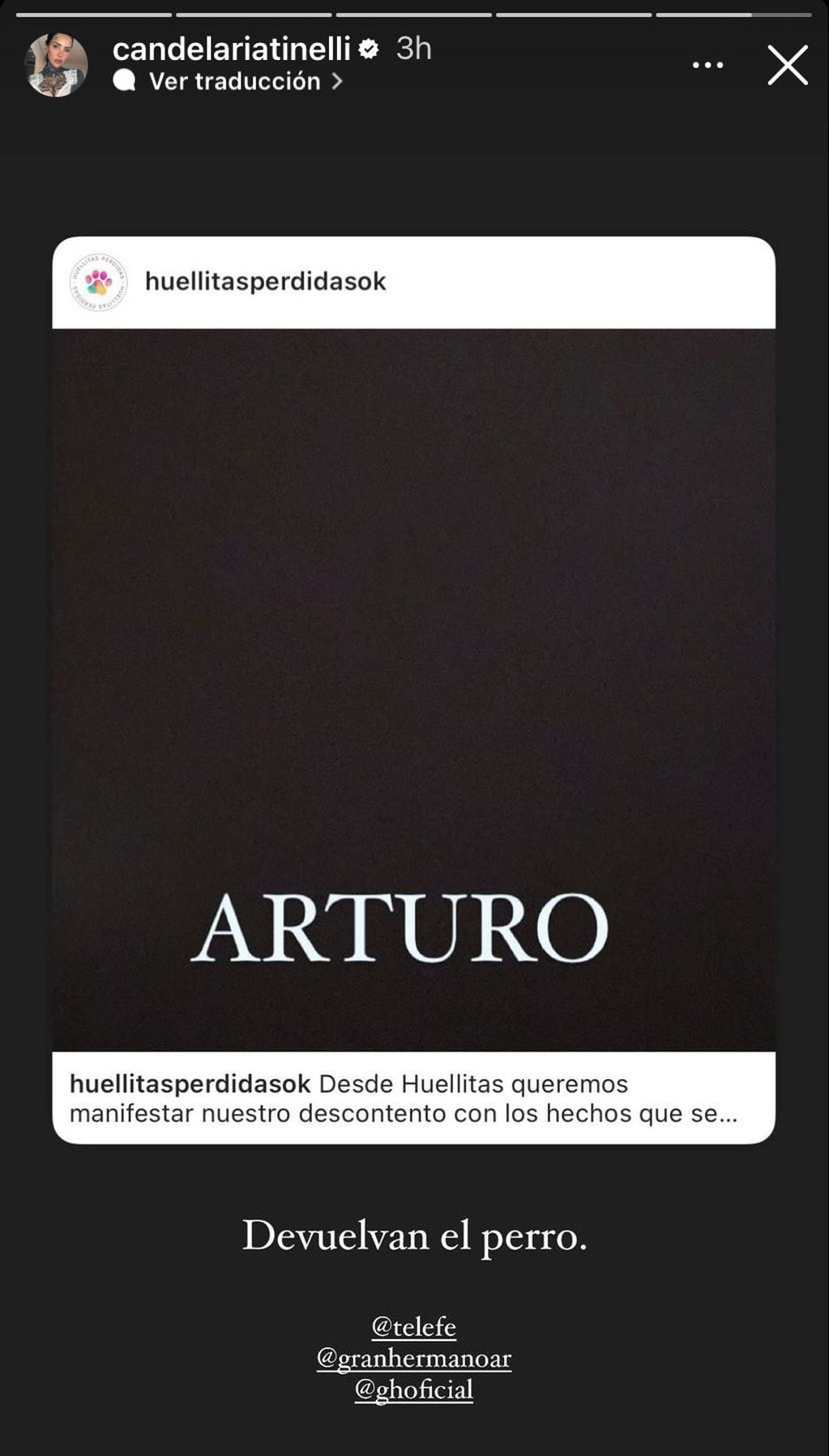 Los famosos que se unieron a la causa y piden que Gran Hermano devuelva a Arturo, el perro. Captura de Instagram.
